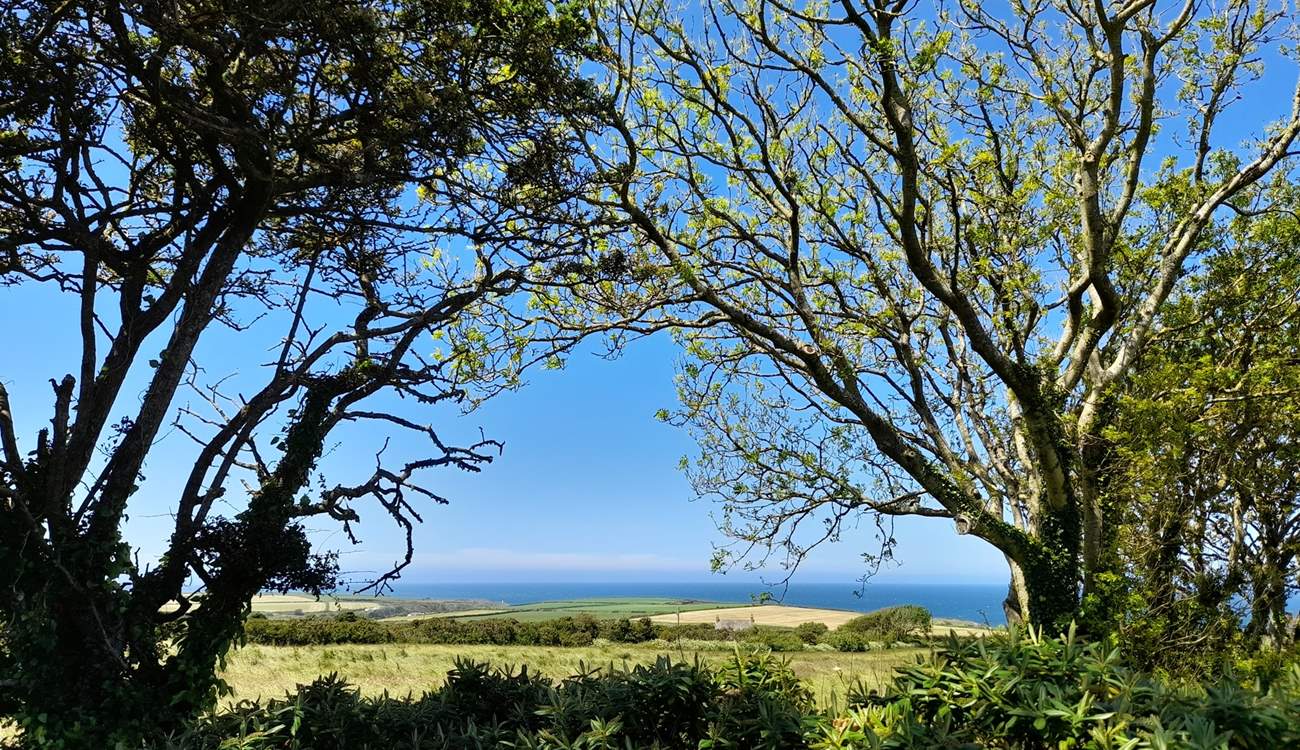 Spellbinding views and spacious lawns in an idyllic coastal location. 