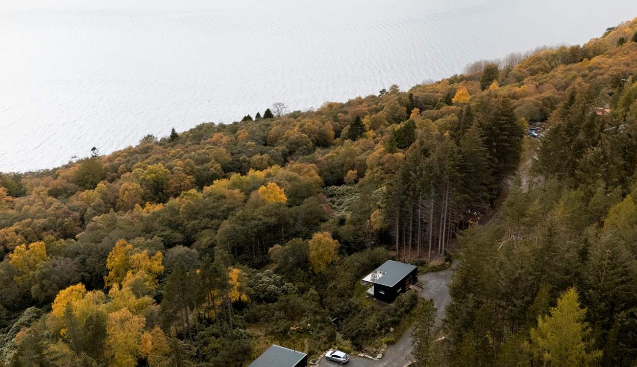 There is one other hideaway onsite, Silva (6110), but both cabins are positioned in a way that you have complete privacy.