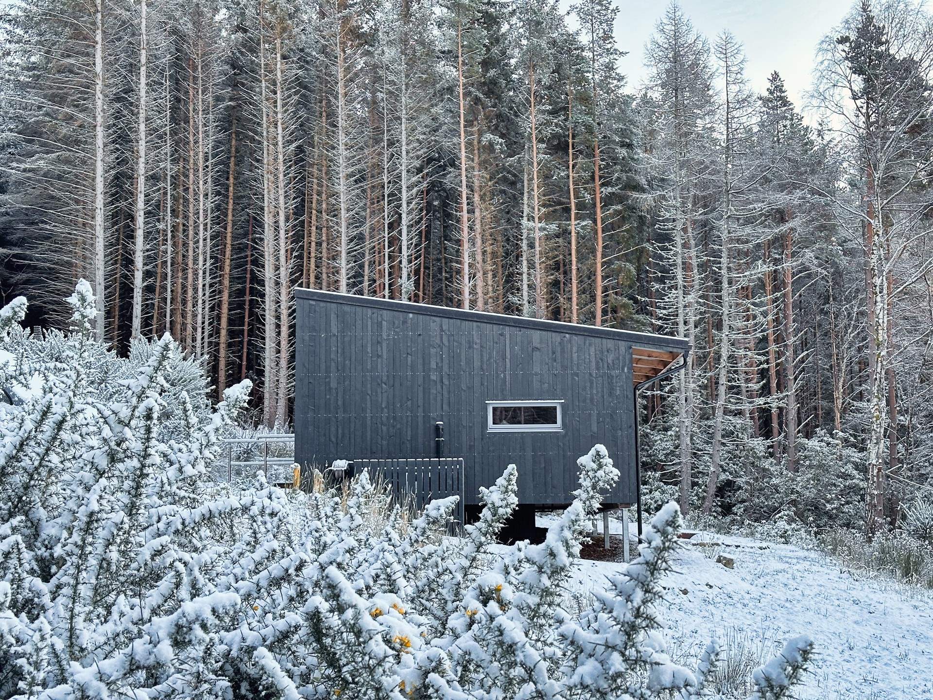From here, wintry woodland views stretch out towards the loch.