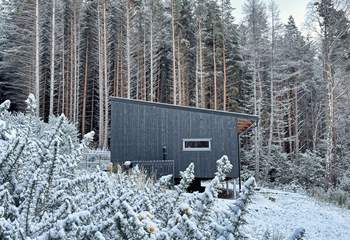From here, wintry woodland views stretch out towards the loch.