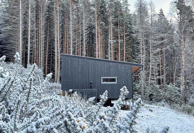 From here, wintry woodland views stretch out towards the loch.