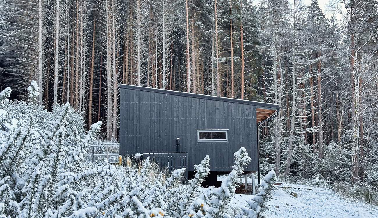 From here, wintry woodland views stretch out towards the loch.