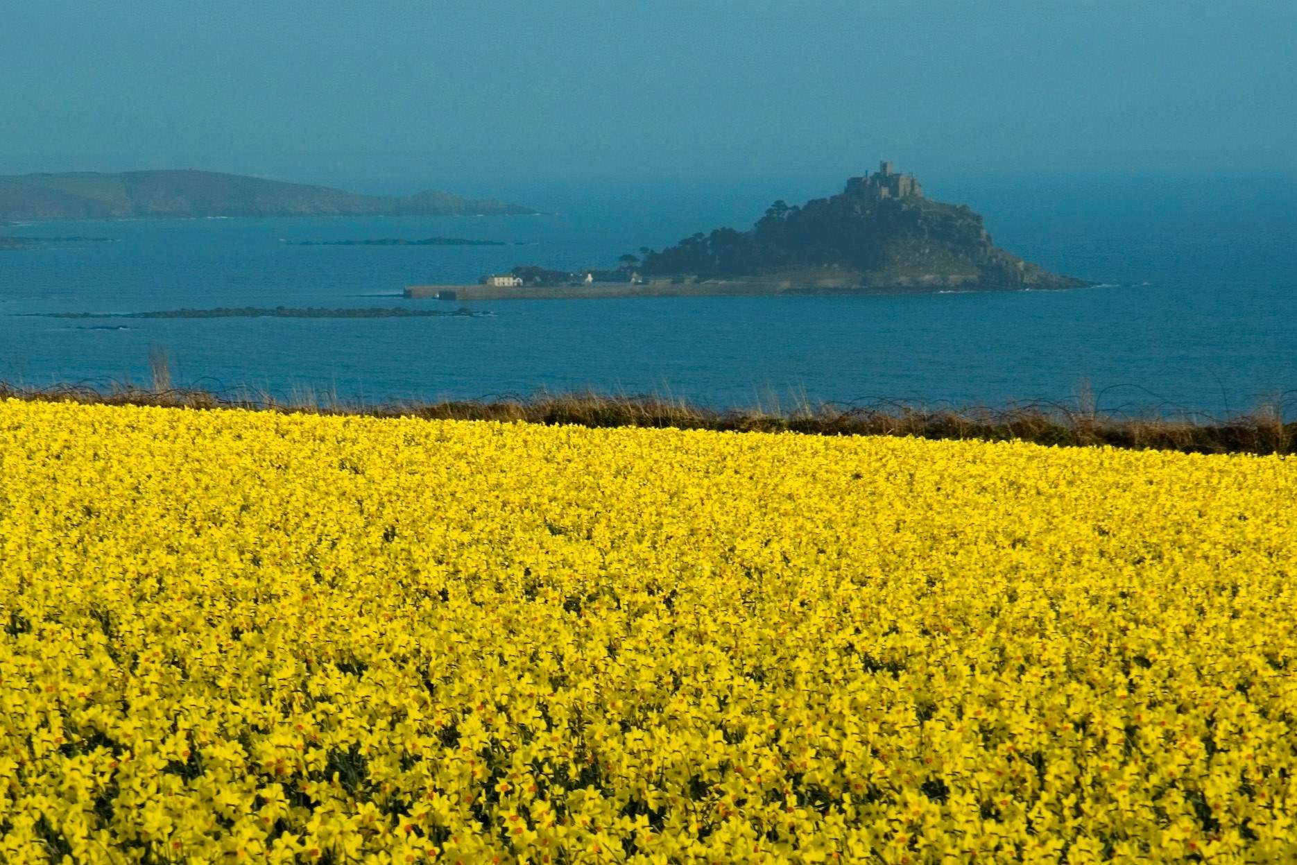 The local fields burst into flower in the spring.