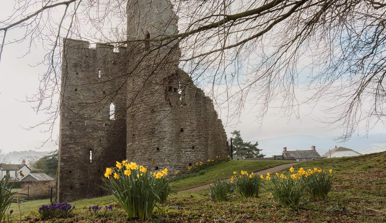 History lovers will adore the atmospheric ruins of Crickhowell Castle.