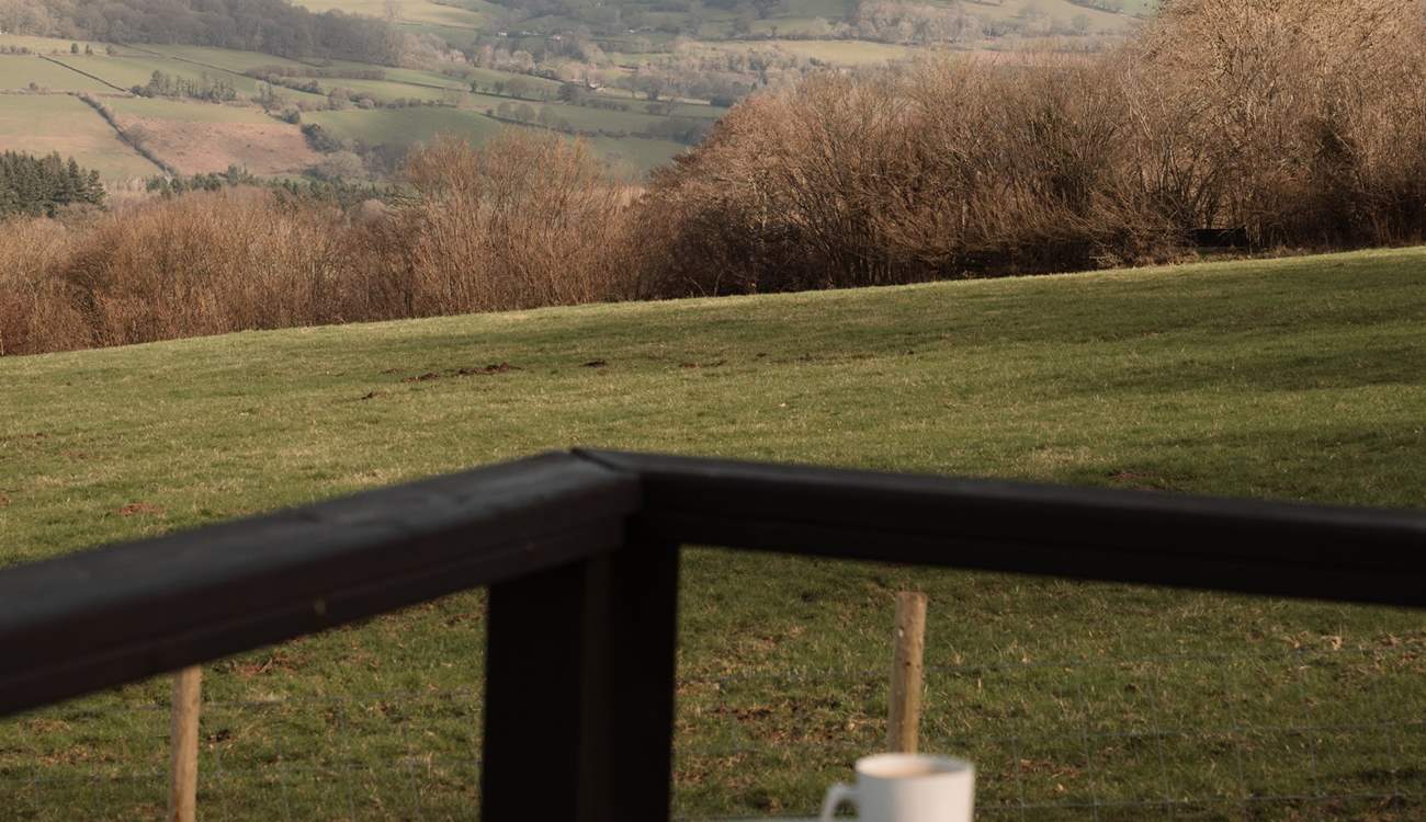 Spend peaceful mornings watching rare birds circle overhead.
