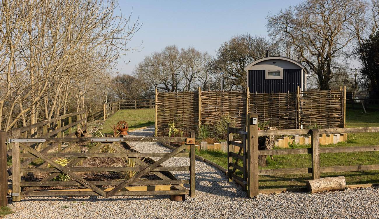 A perfectly peaceful place to explore with your four-legged friend. 