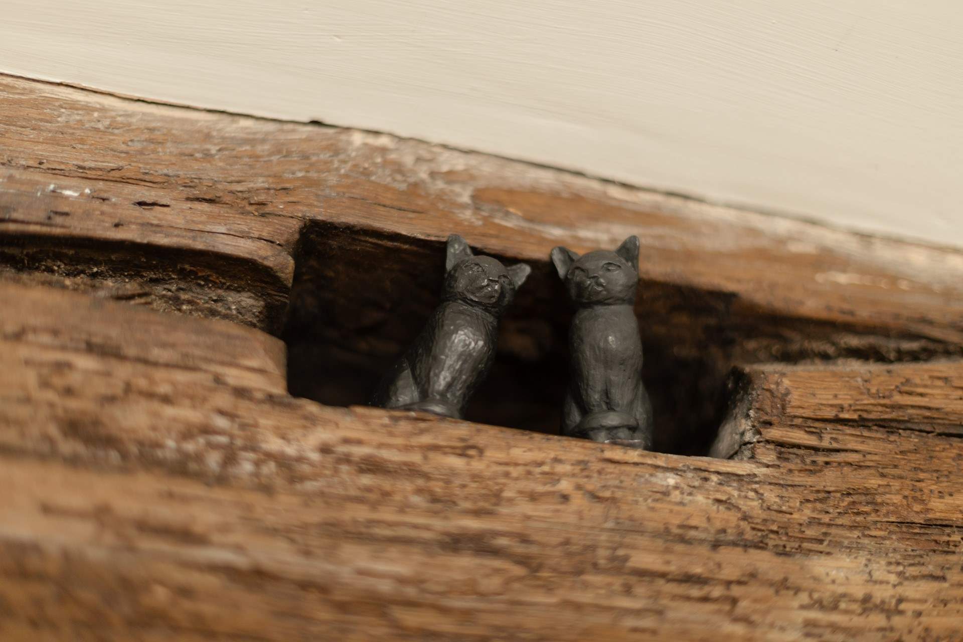 Hunt the beams for the cute little animals hidden in the nooks. 