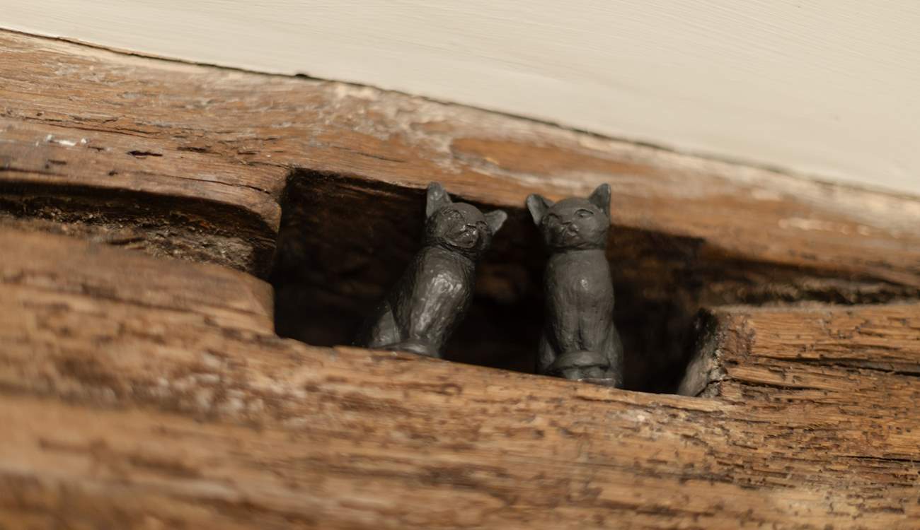 Hunt the beams for the cute little animals hidden in the nooks. 