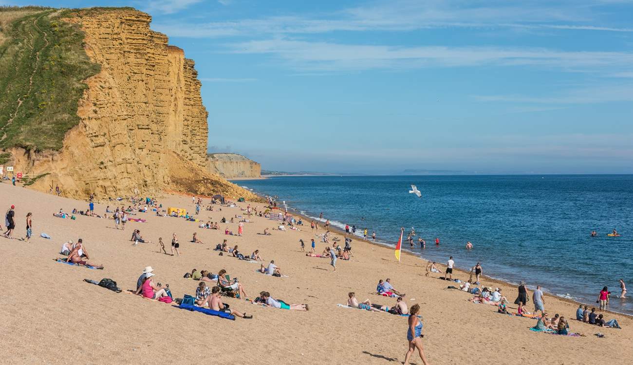 How about a spot of fossil hunting at West Bay?
