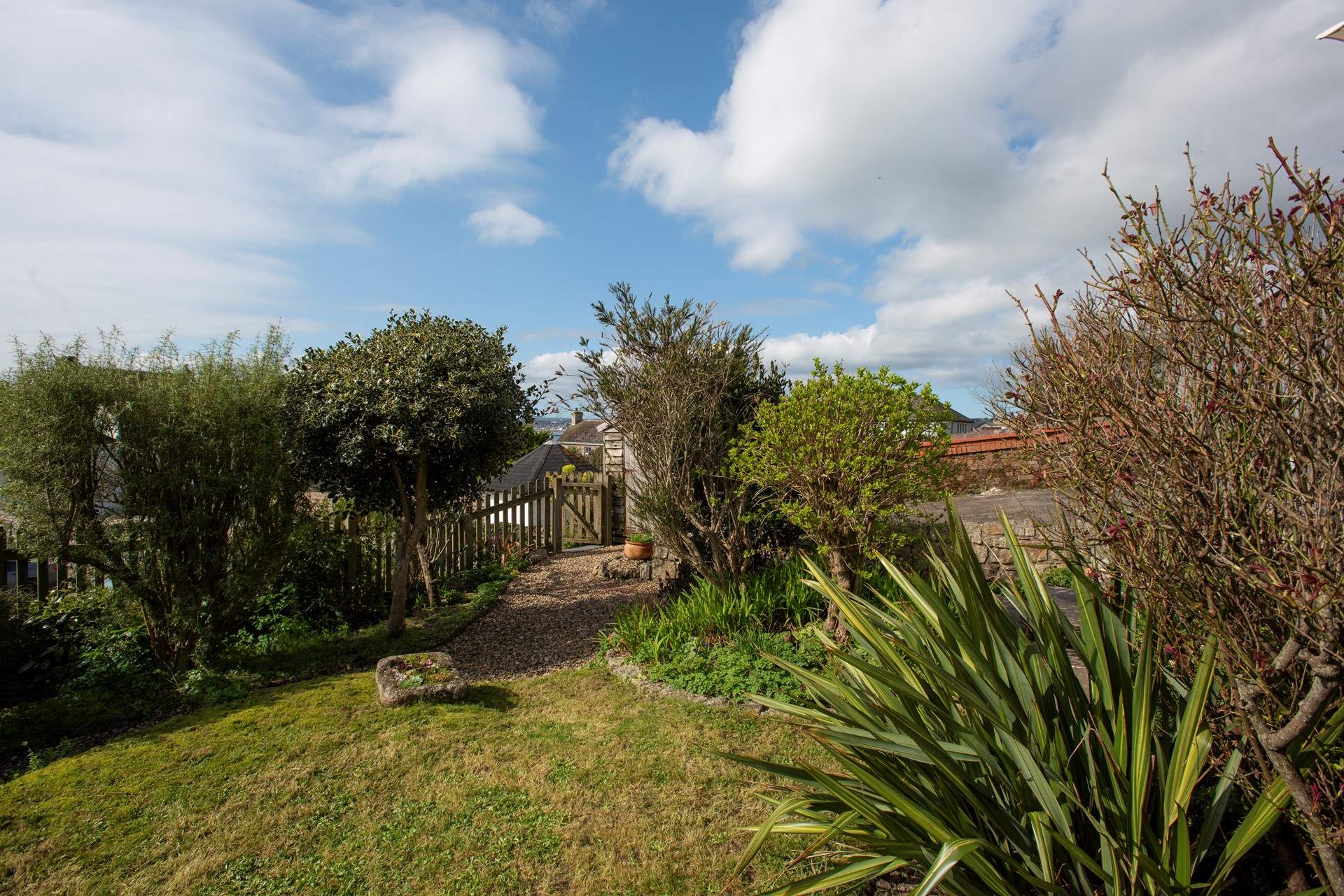 A sweet garden area.