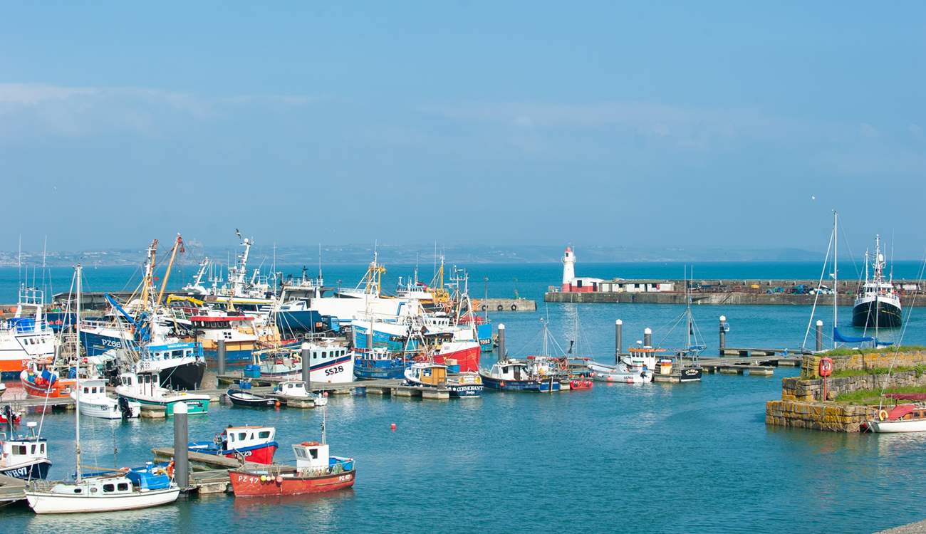 The bustling harbour at Newlyn where you can buy the freshest of fish.