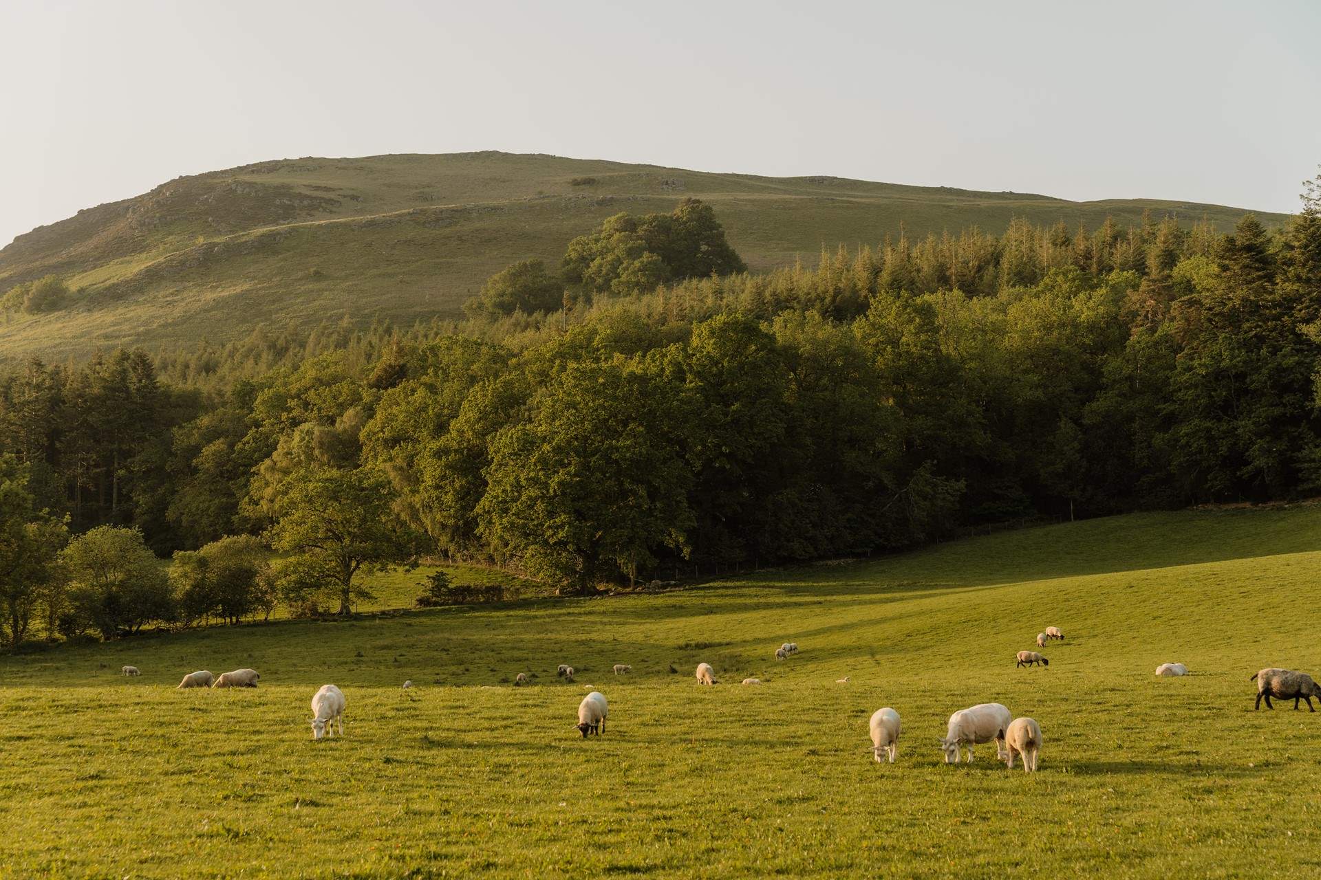Spend afternoons discovering the surrounding landscape.