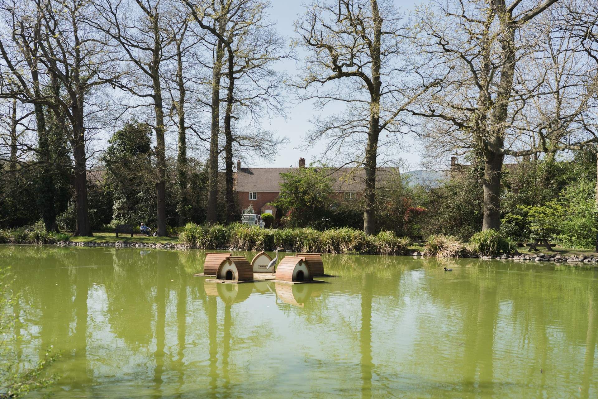 The village duck houses on the pond.