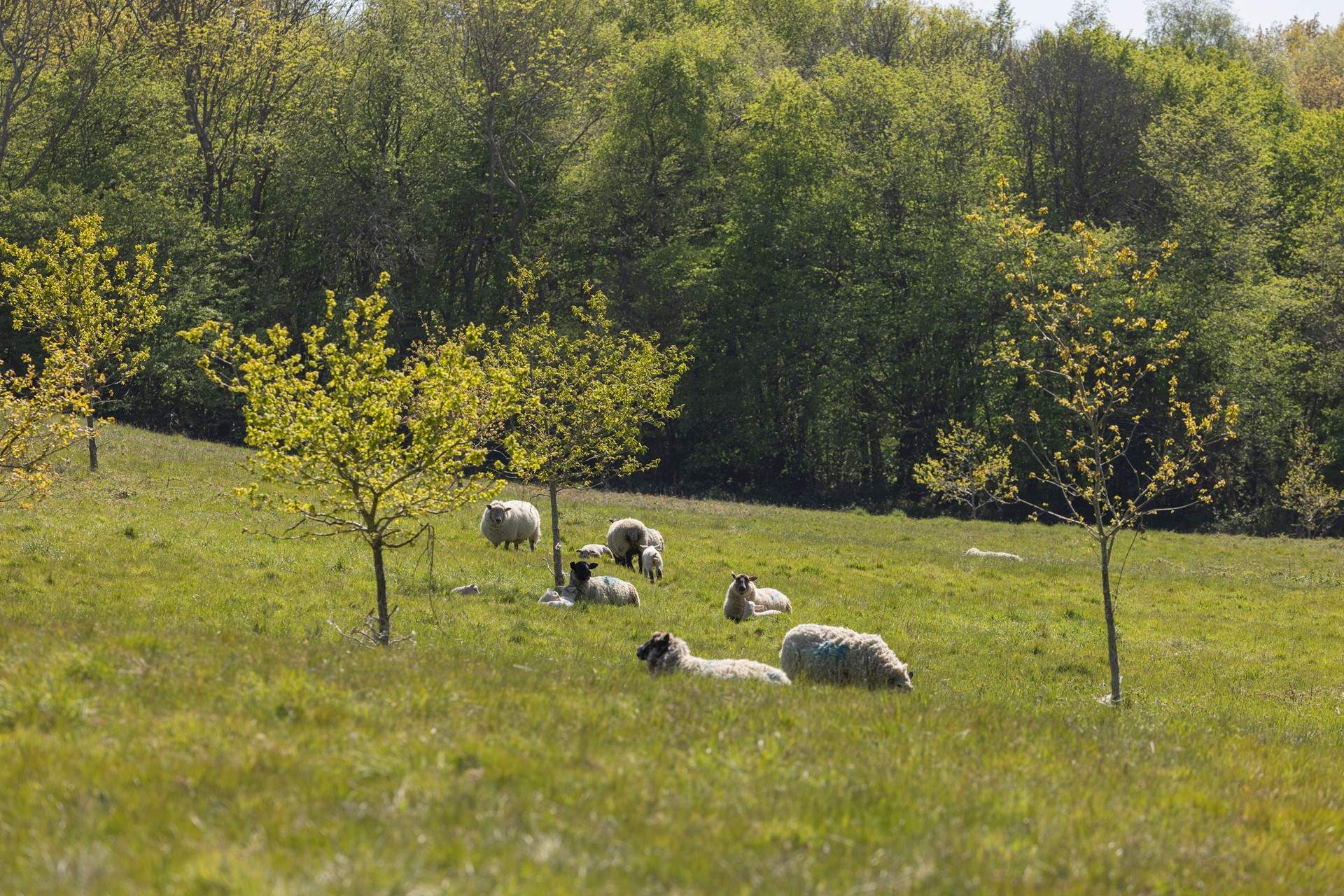 Take in the beautiful surroundings.