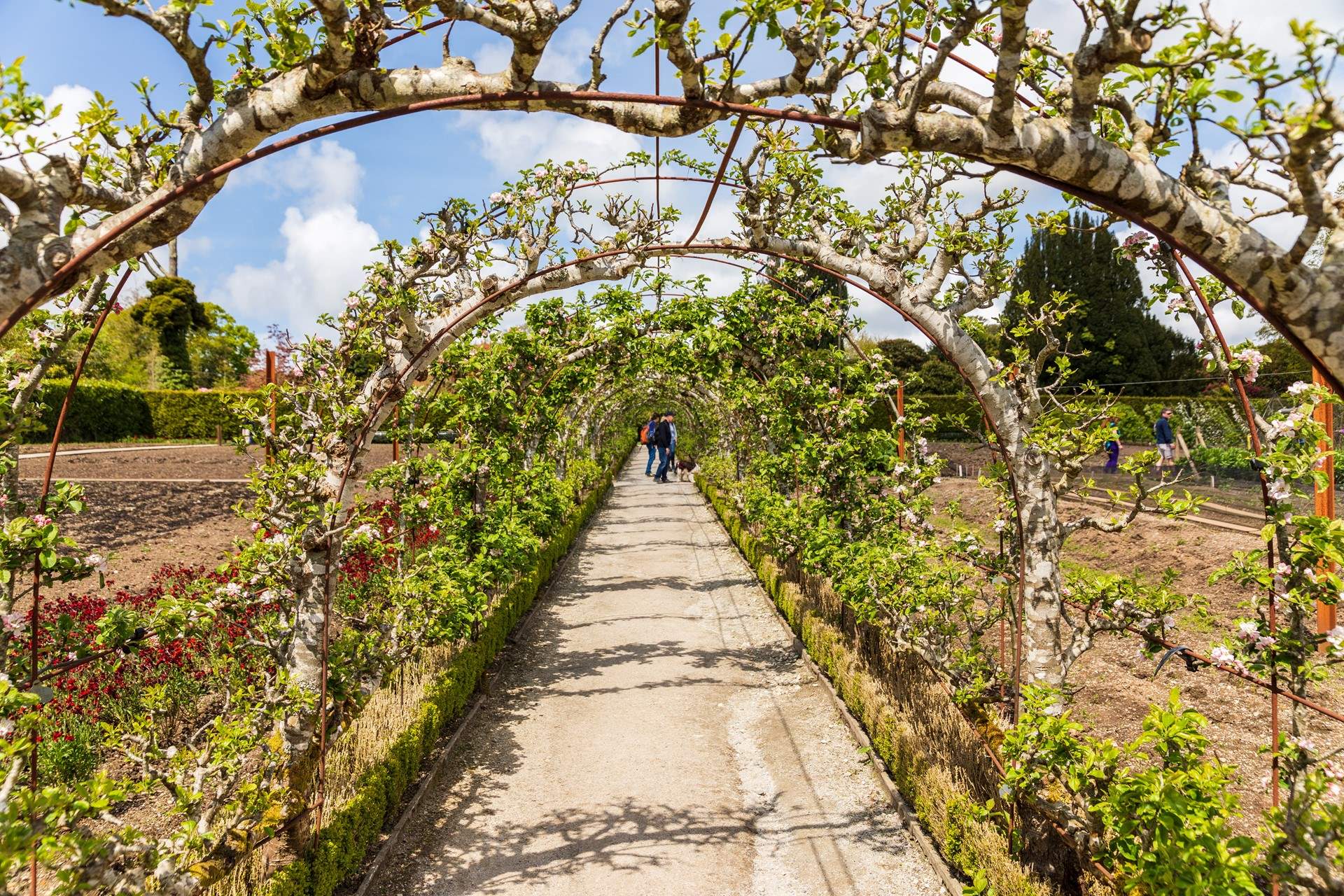 The Lost Gardens of Heligan is stunning any time of year. 