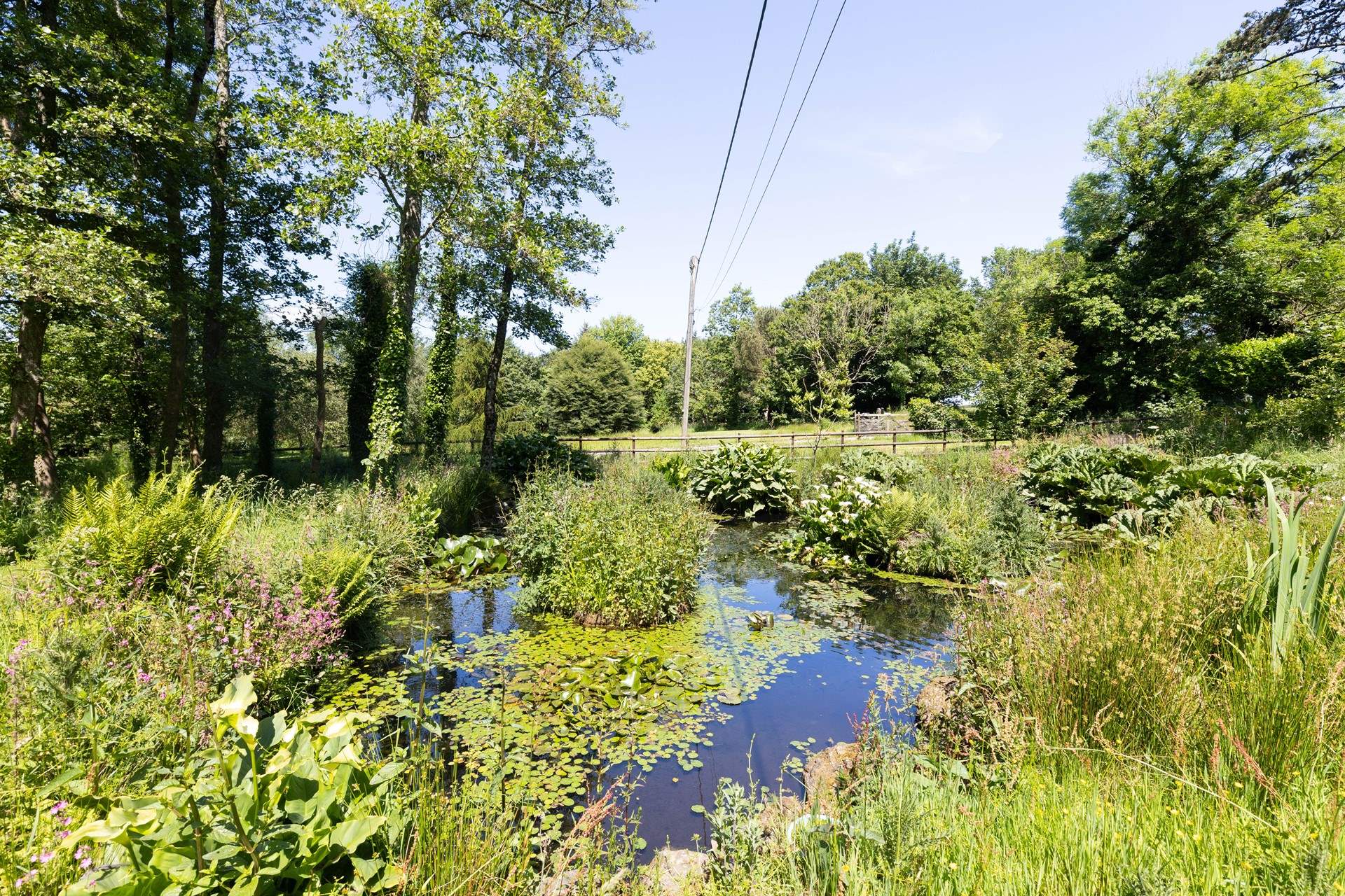 Enjoy exploring the pretty grounds, taking care near the pond. 