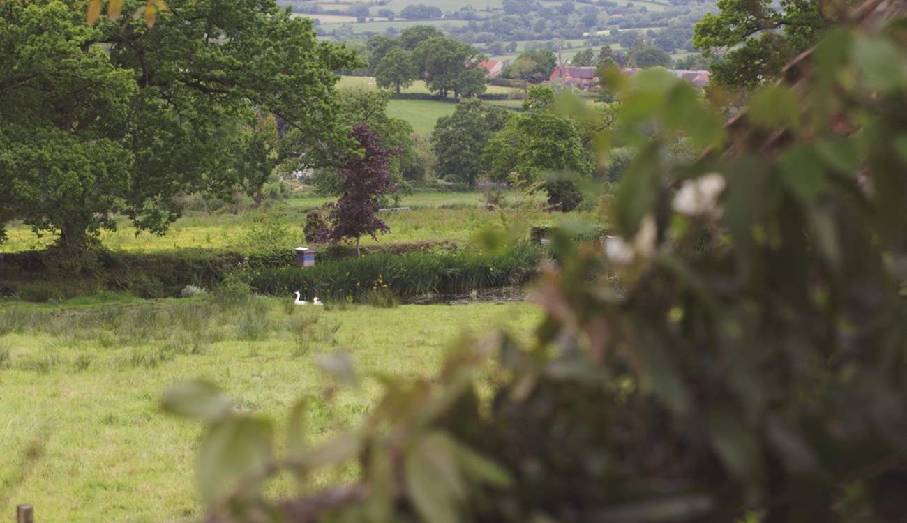 Unspoilt and magnificent far reaching countryside views.