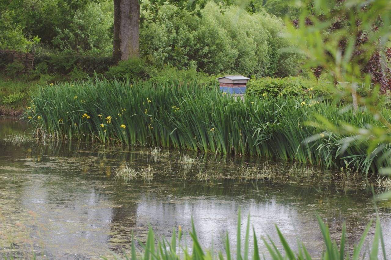 Your surroundings treat you to the very best of nature.