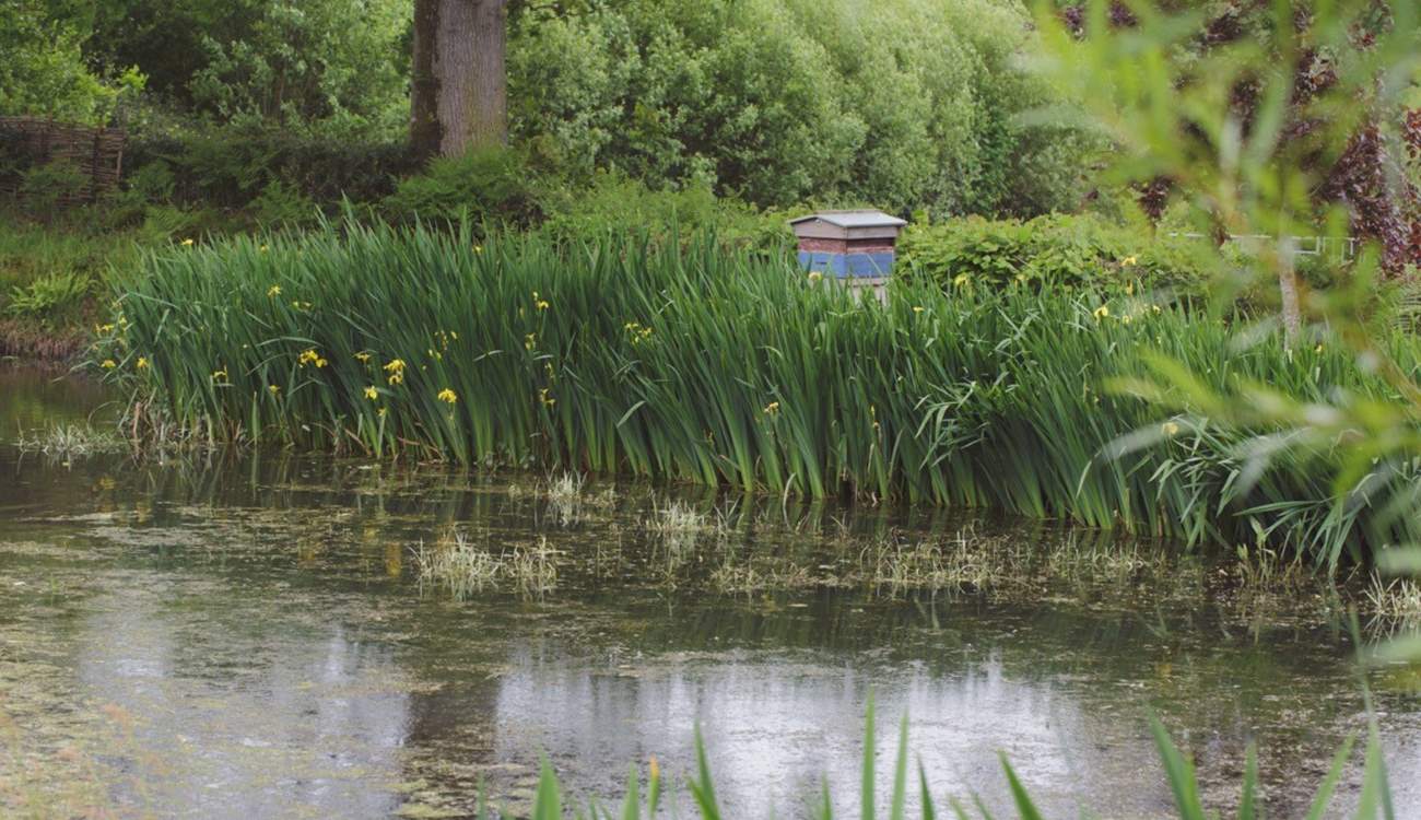 Your surroundings treat you to the very best of nature.