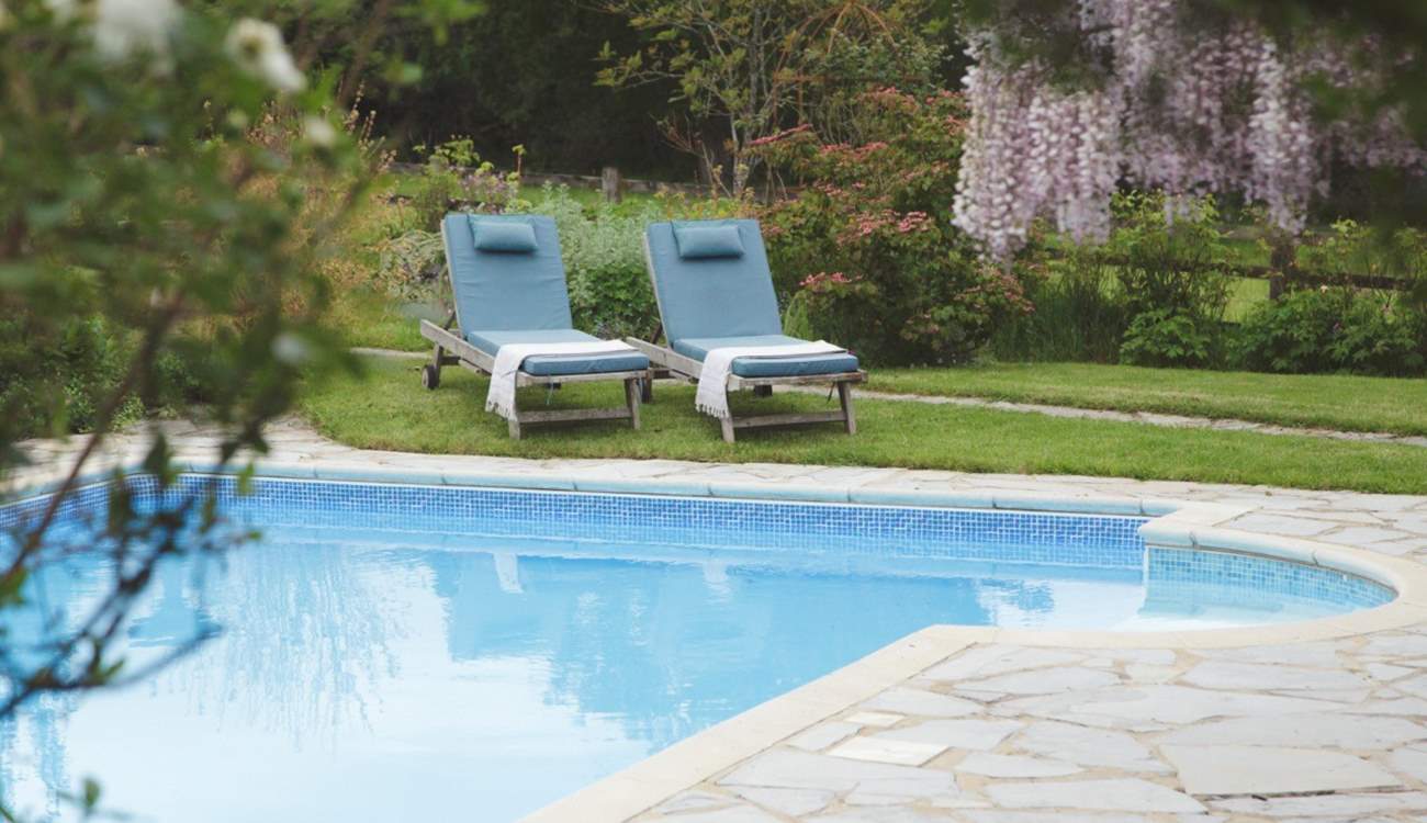 What a charming sight first thing in the morning.