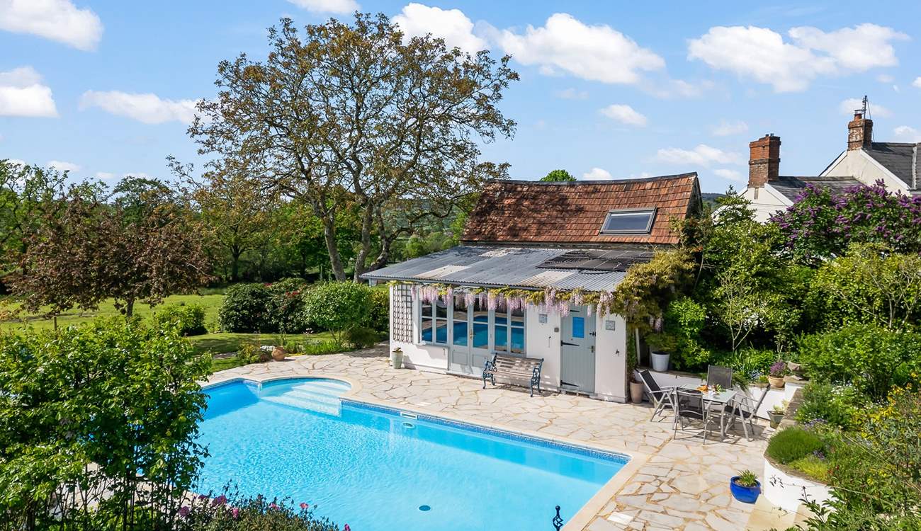 The pool area can be accessed via the path from your front door, or directly down from your balcony area.