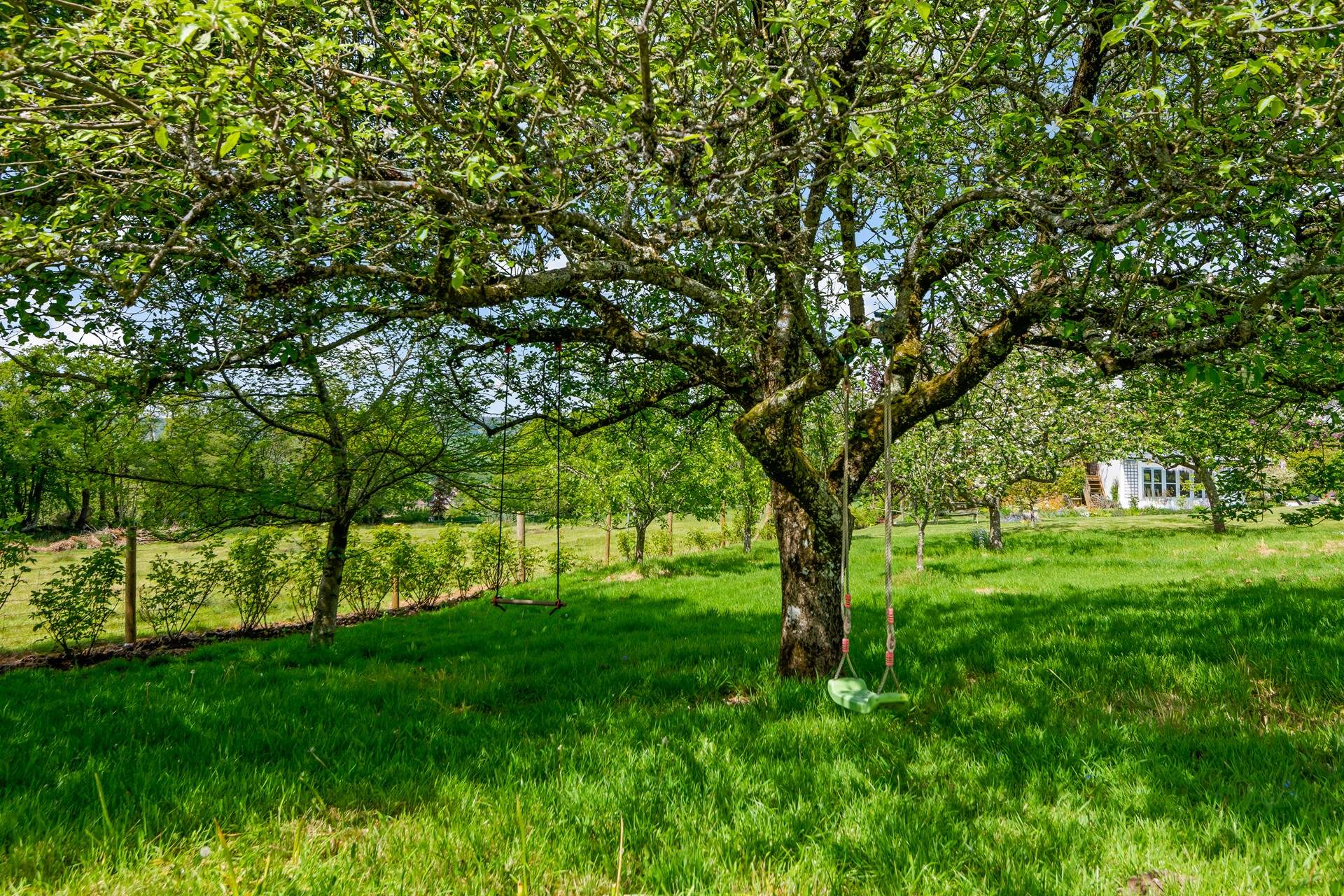 Ambling through the grounds is such a relaxing and enjoyable thing to do.