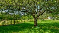 Ambling through the grounds is such a relaxing and enjoyable thing to do.