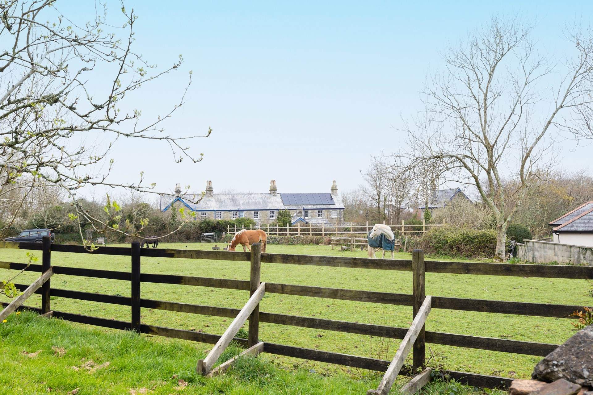 Your neighbours over the back fence. 