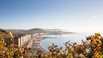 Take a day trip to the pretty seaside town of Aberystwyth or to closer New Quay where dolphin spotting boat trips are very popular. 