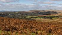 Lace up those walking boots and discover the dramatic scenery of either Dartmoor or Exmoor National Parks.