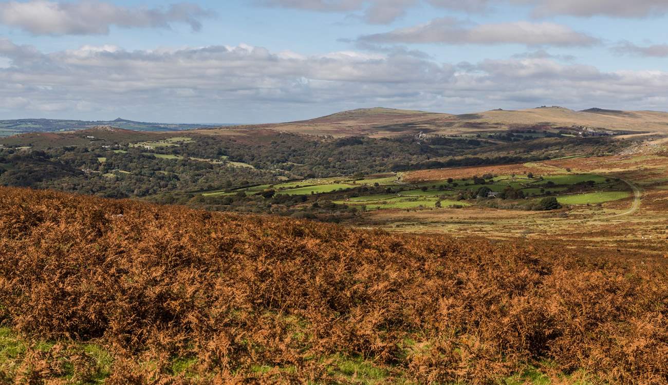Lace up those walking boots and discover the dramatic scenery of either Dartmoor or Exmoor National Parks.