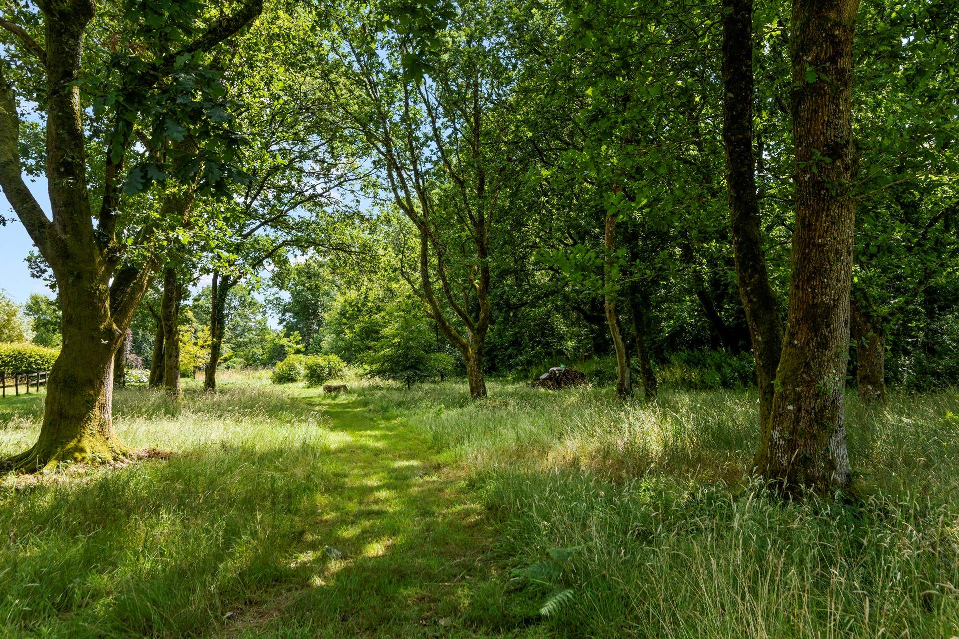 Endless walks and trails are at your disposal. Everyday a new adventure, your four-legged friends will love it.