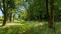 Endless walks and trails are at your disposal. Everyday a new adventure, your four-legged friends will love it.