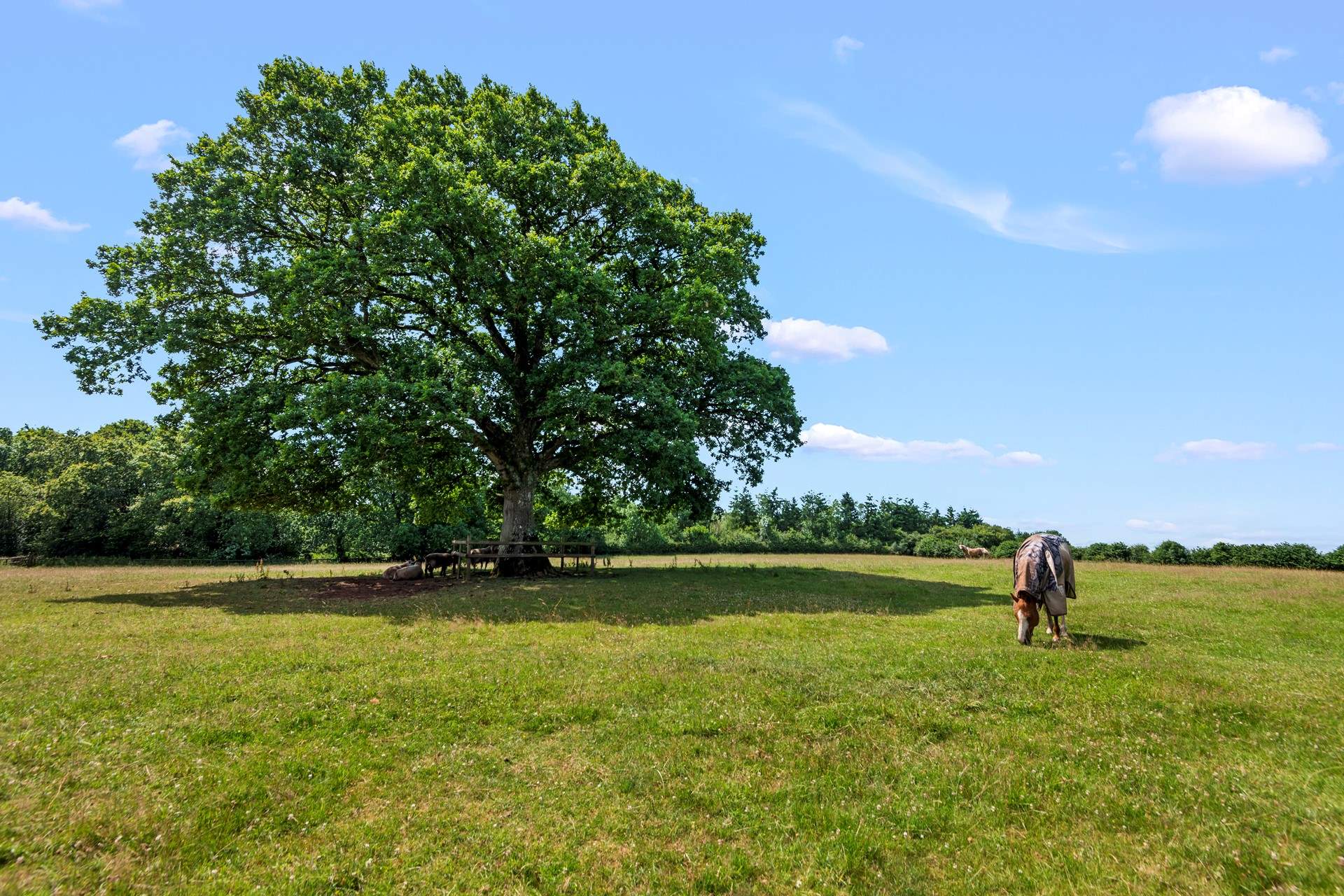 What stunning surroundings, you cant fail to relax and unwind in this special spot.