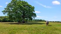 What stunning surroundings, you cant fail to relax and unwind in this special spot.