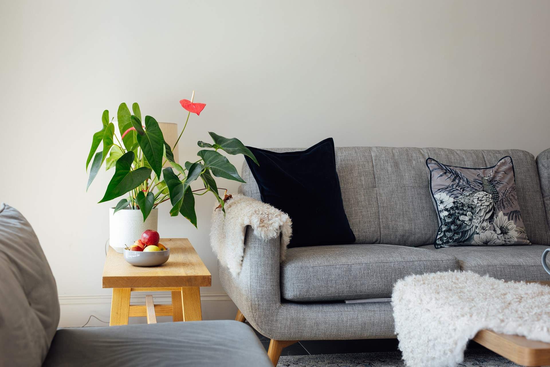 Relax on the sofa and enjoy a movie. 