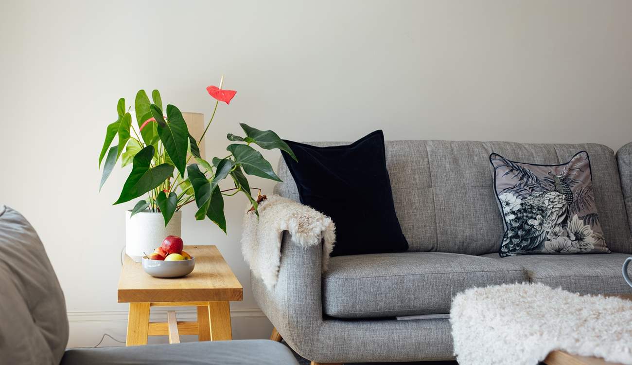 Relax on the sofa and enjoy a movie. 