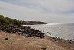 The quieter part of Gurnard beach is tucked away from the more popular beach - perfect for a picnic or barbecue. 