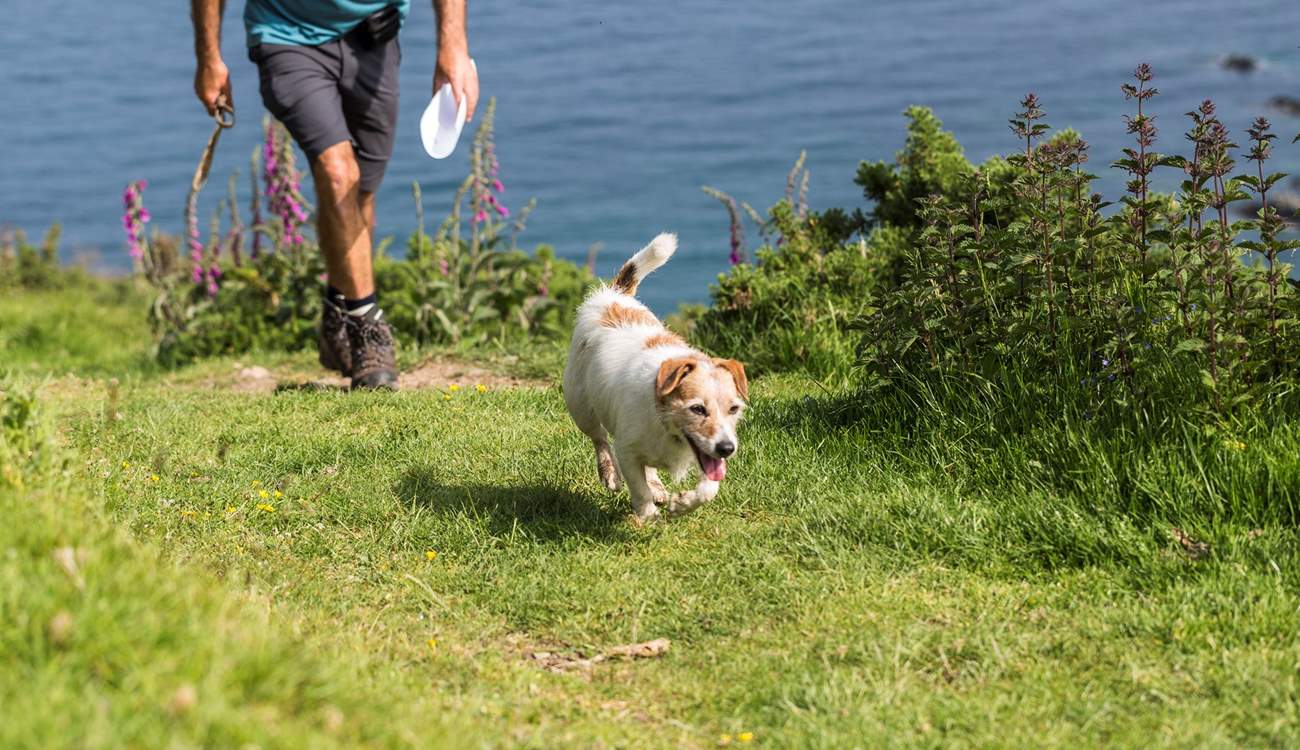 Your four-legged friend is most welcome to join you on holiday.