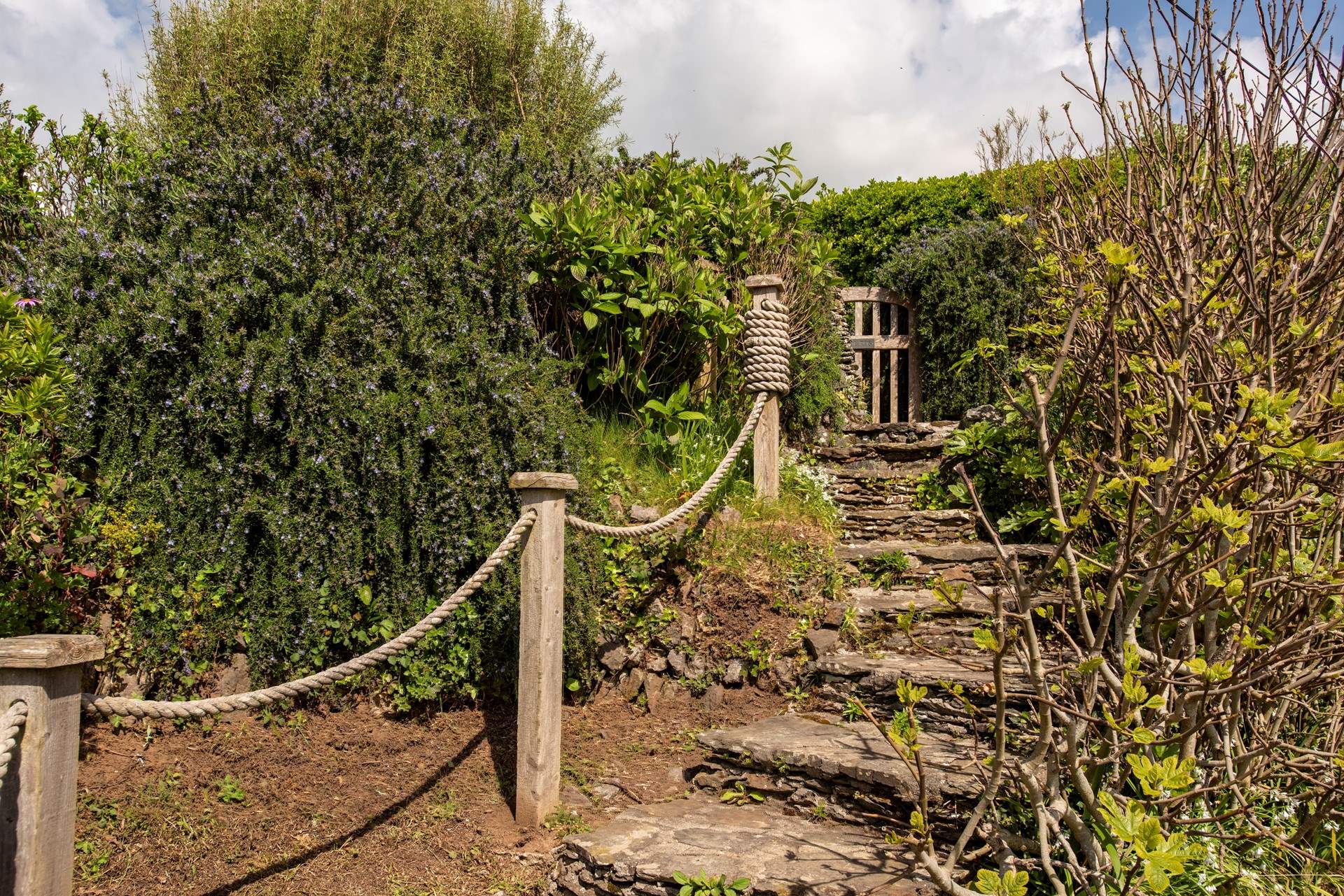 The steps from the garden gate to access the pathway to the beach.