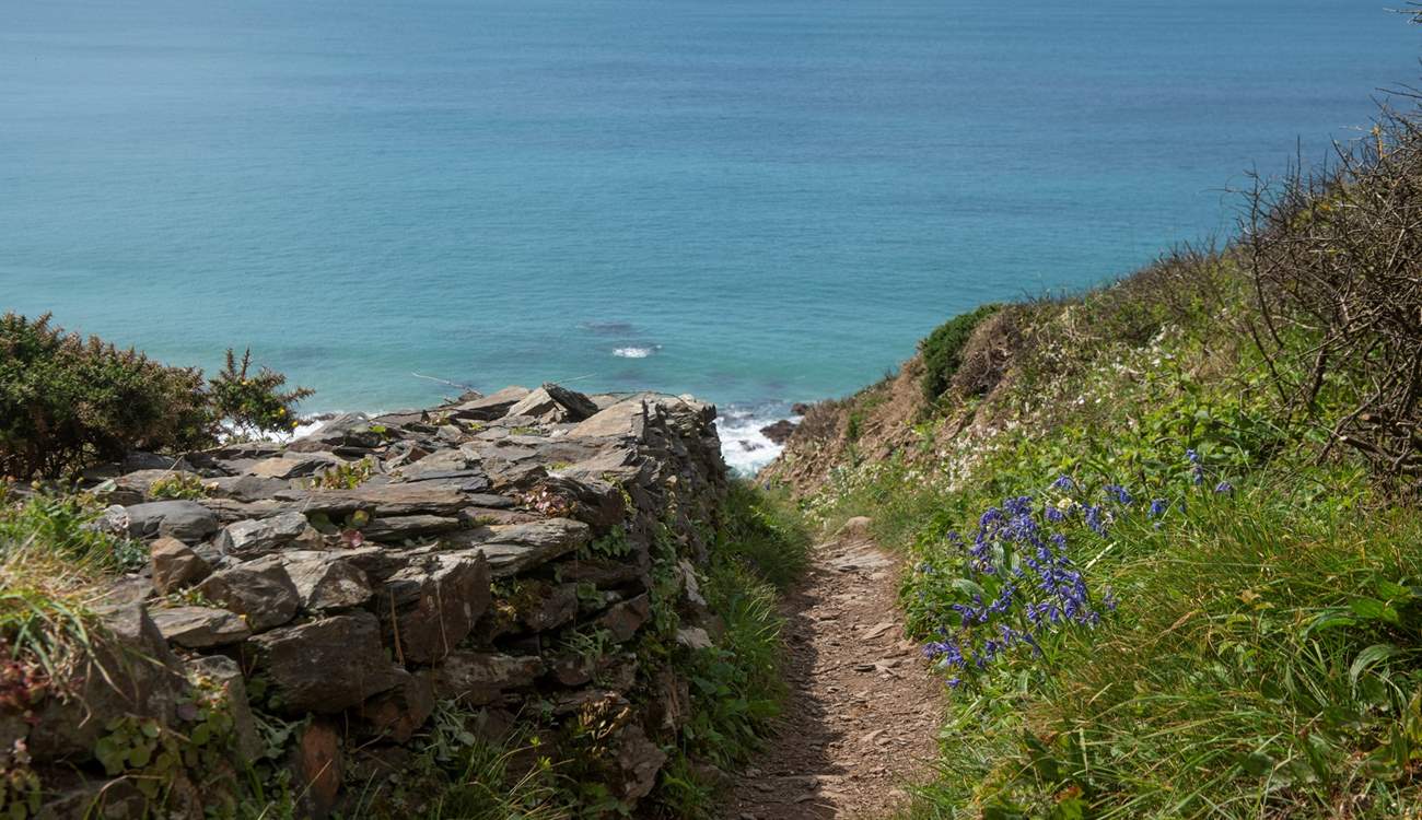 Exit through the garden gate onto the beach pathway.