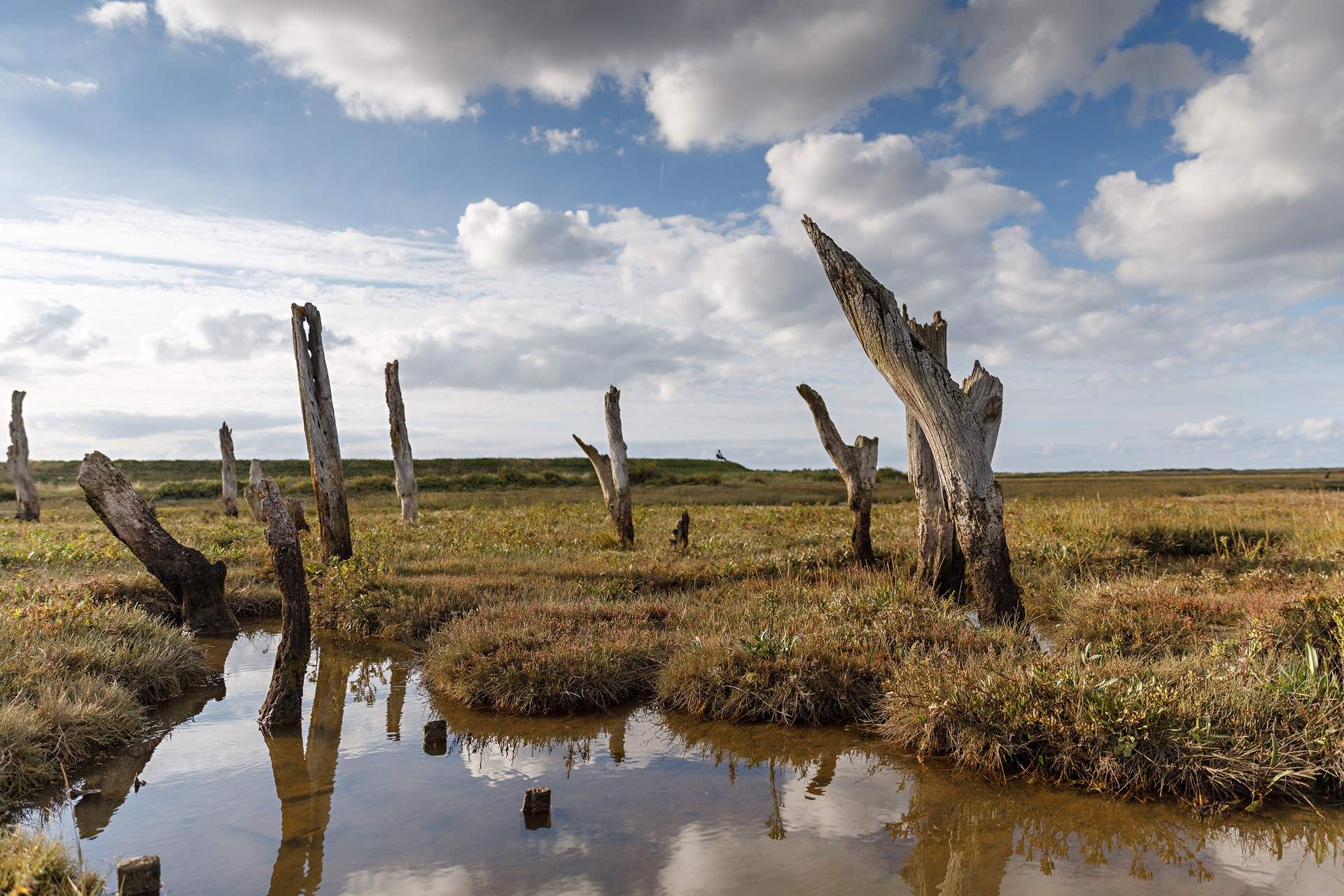 Visit Holme-next-the-Sea, a gorgeous village on the north Norfolk heritage coast. 