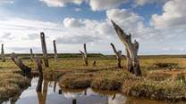 Visit Holme-next-the-Sea, a gorgeous village on the north Norfolk heritage coast. 