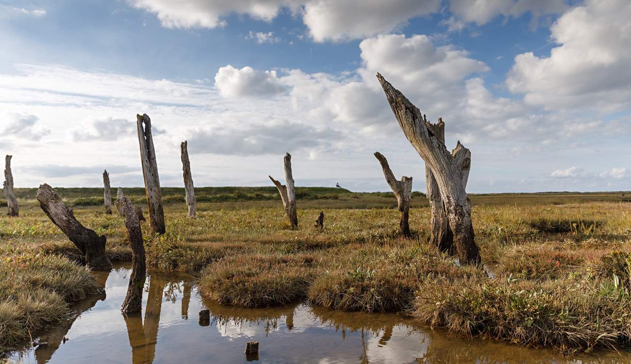Visit Holme-next-the-Sea, a gorgeous village on the north Norfolk heritage coast. 