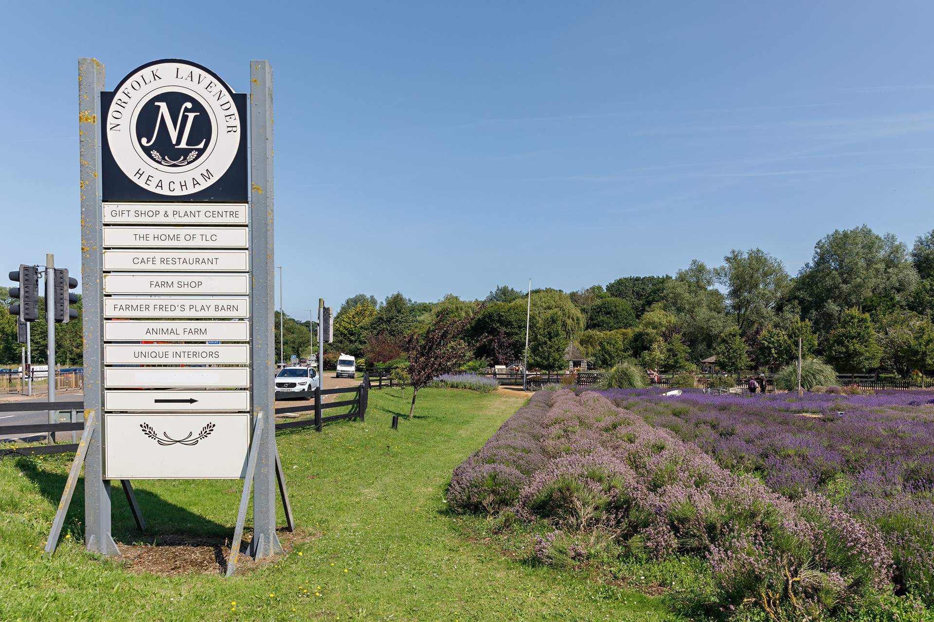 Heacham is home to the famous Norfolk Lavender farm. 