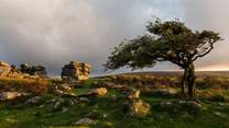For a change of scenery, why not take a trip to Dartmoor where you'll find Dartmoor ponies roaming as well as plenty of cosy pubs to stop at.
