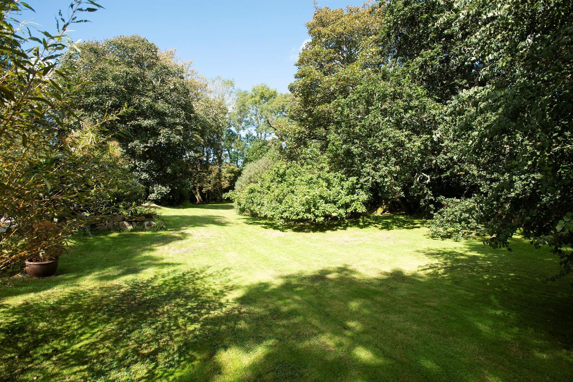 Beautiful mature trees surround the garden.