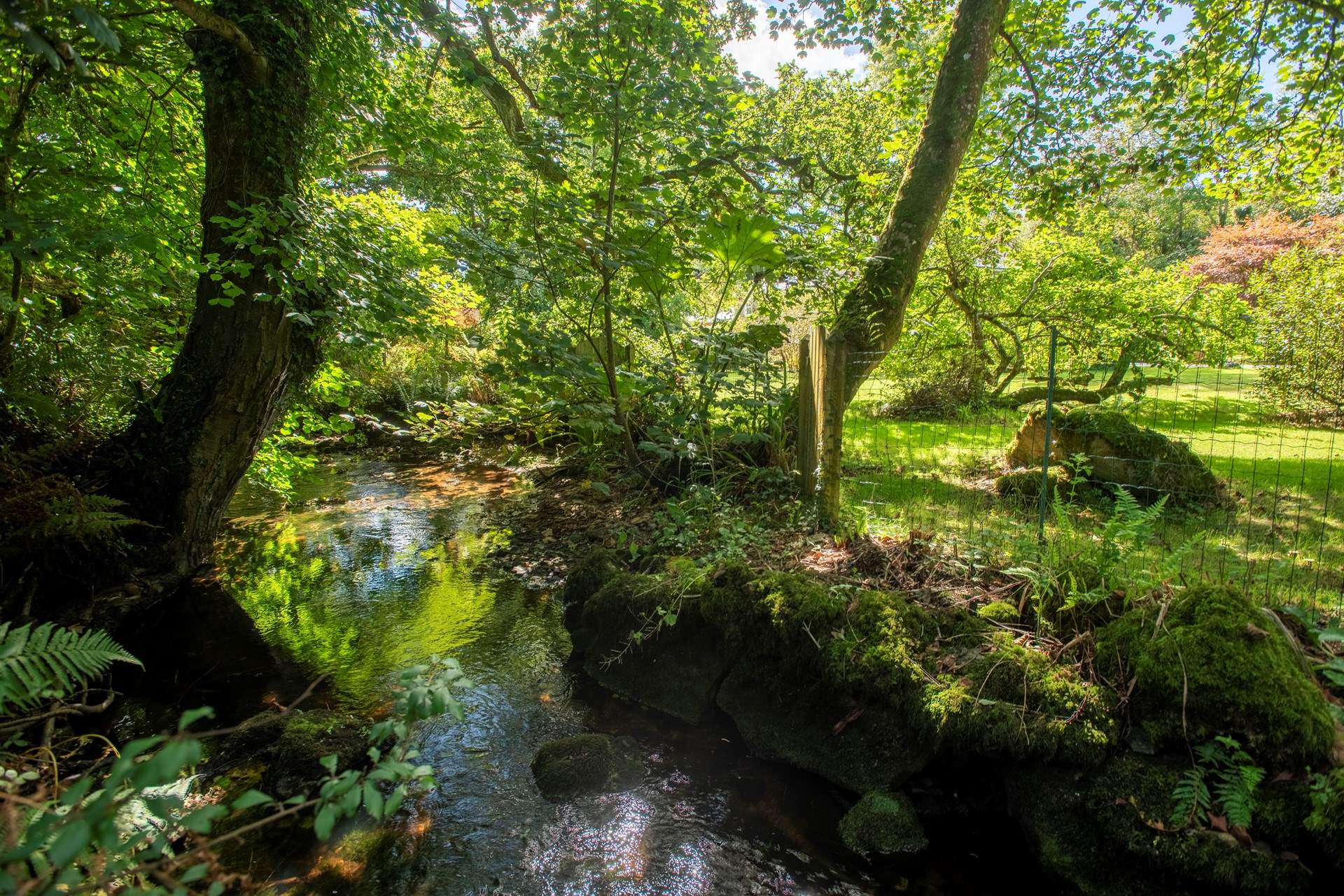 The leat leads to the stream at the bottom of the garden, this is fenced with access gates. You can sit and listen to the birds and if you are lucky you may see the kingfisher.