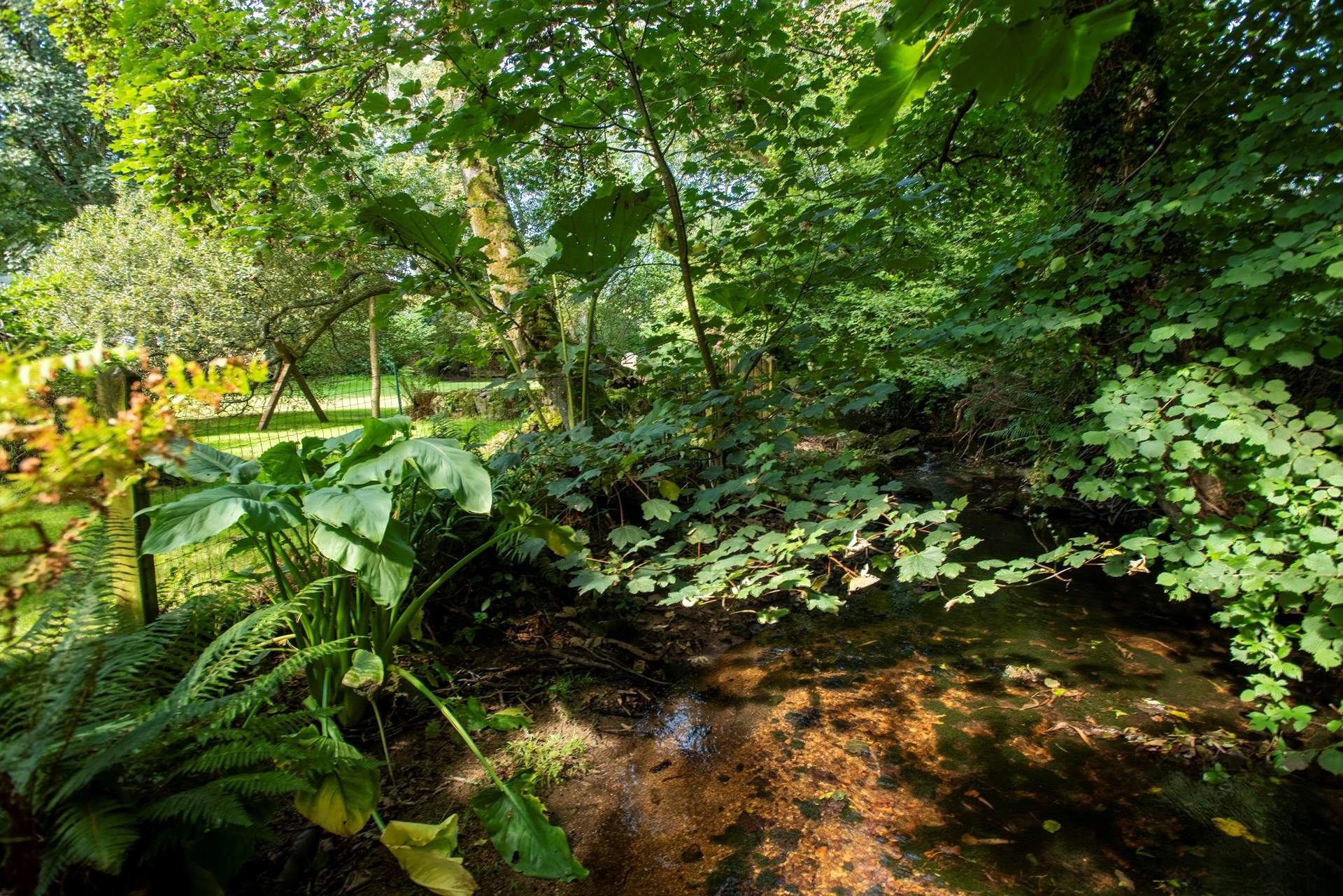 The stream is surrounded by lush planting and mature trees, please note the leat runs through the garden to the stream in the autumn and winter, at times it is fast flowing.
