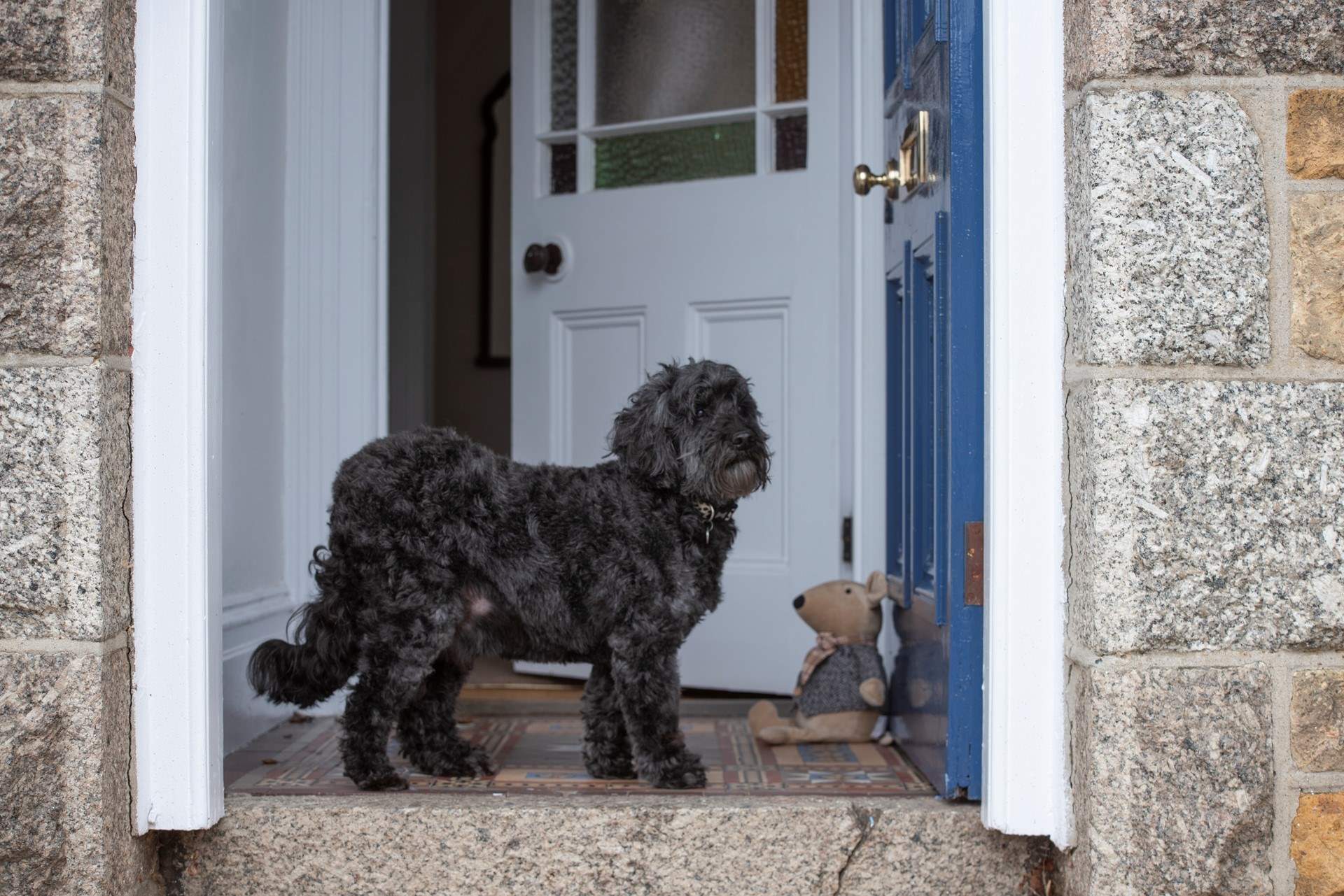 Your four legged friend is most welcome at Trelynden.